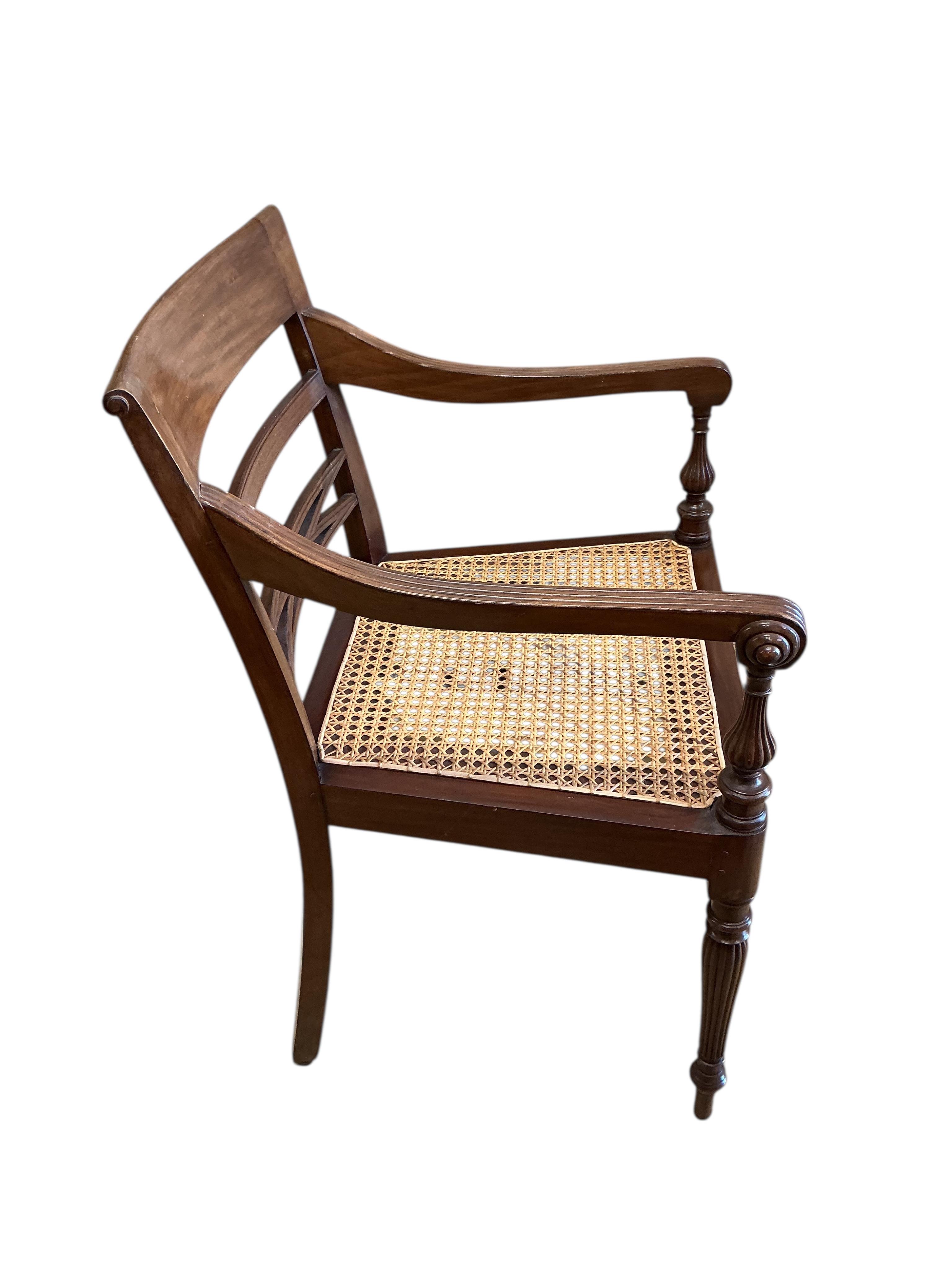 A pair of Regency style cane seat hardwood elbow chairs, width 54cm, depth 46cm, height 88cm